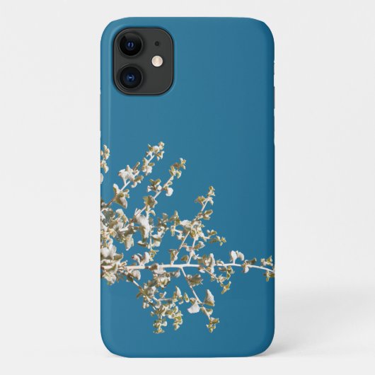 Pale Saltbush Feuille iPhone 11 Coque (Dos)
