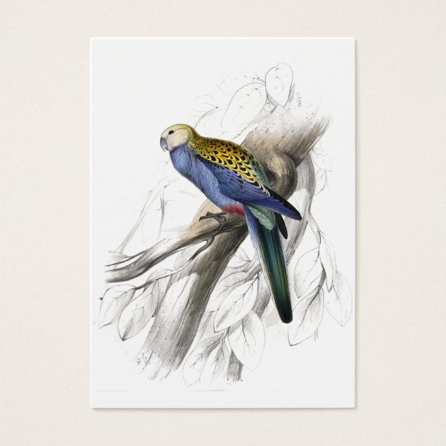 Paleheaded Parket van Edward Lear Visitekaartjes (Voorkant)
