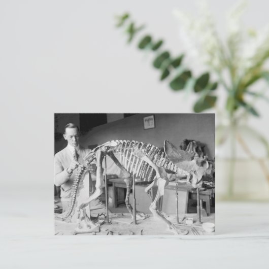 Paleontology Scientist Baby Dinosaur Briefkaart (Staand voorkant)