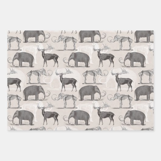 Paleontoloog Wooly Mammoth en Giant Irish Elk Inpakpapier Vel (Voorkant)