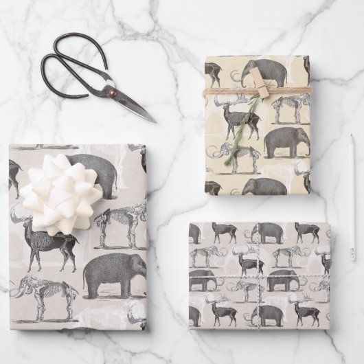 Paleontoloog Wooly Mammoth en Giant Irish Elk Inpakpapier Vel (Voorkant)