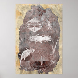 Paleozoïnetijdperk Poster