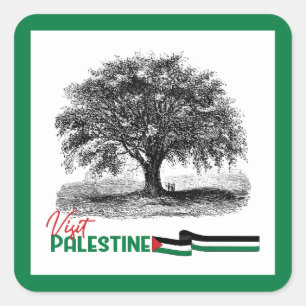 Palestijnse olijfboom trots, bezoek Palestina Vierkante Sticker