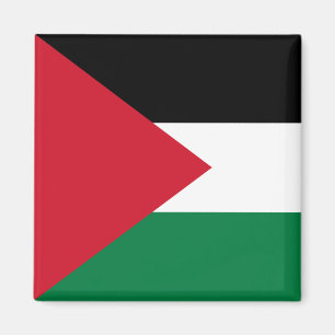 Palestijnse vlag magneet