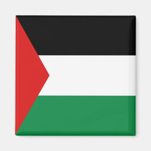 Palestina Vlag Magneet