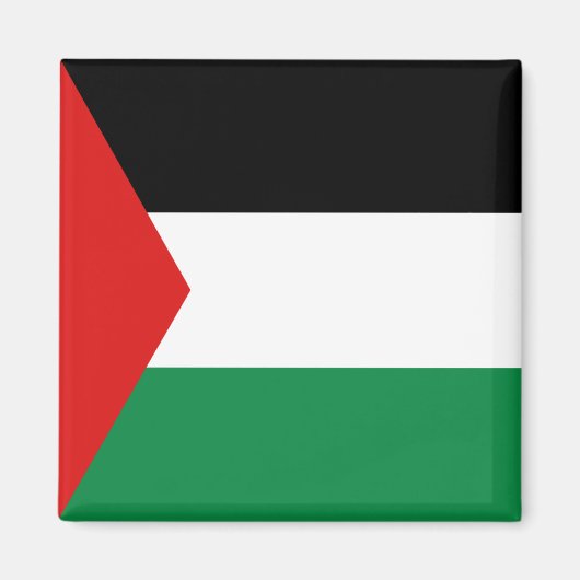 Palestina Vlag Magneet (Voorkant)