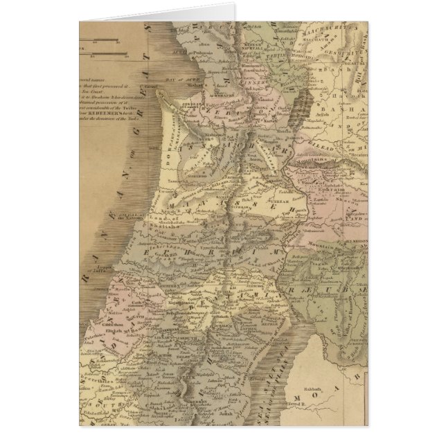 Palestine 6 (Devant)