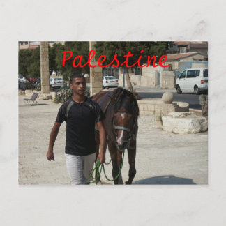 Palestinian Knight Briefkaart