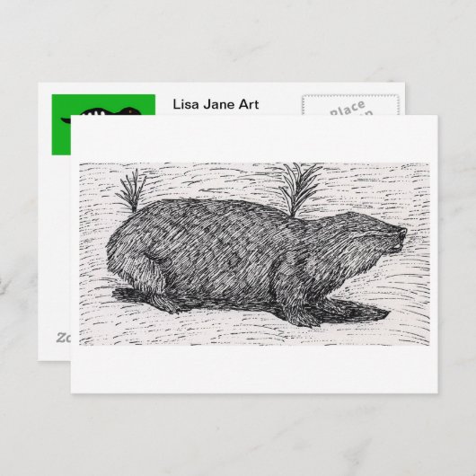 Palestinian Mole Rat Briefkaart (Voorkant / Achterkant)