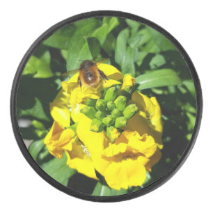 Palet De Hockey Abeille sur Fleurs Jaunes