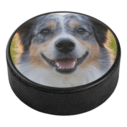 Palet De Hockey Ajouter une Personnaliser photo pour animaux domes (3/4/2016 12:00:00 AM)