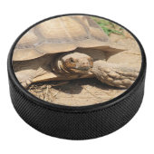 Palet De Hockey Ala aldabra (3/4/2016 12:00:00 AM)