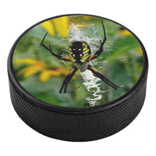 Palet De Hockey Awesome Photo Orb Spider dans le Web