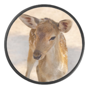 Palet De Hockey Baby Deer