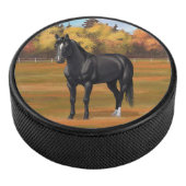 Palet De Hockey Beau Stallion Cheval du Quartier Noir (3/4/2016 12:00:00 AM)