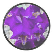Palet De Hockey Belle iris violet (Devant)
