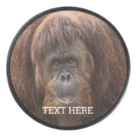 Belle photographie de Borneo Orangutan