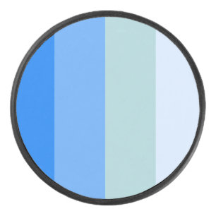 Palet De Hockey Bleu