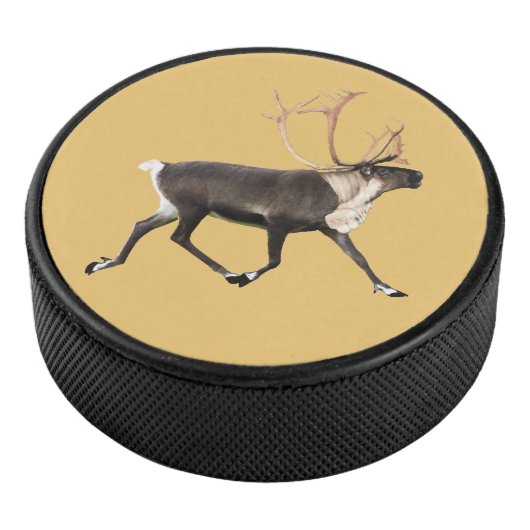 Palet De Hockey Bull Caribou (3/4/2016 12:00:00 AM)