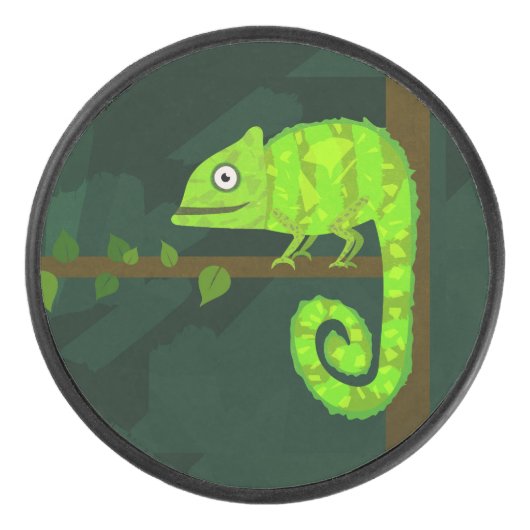 Palet De Hockey Caméléon vert mignon (Devant)