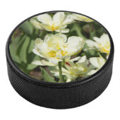 Palet De Hockey Champ de tulipes blanches (3/4/2016 12:00:00 AM)