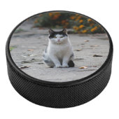 Palet De Hockey Chat, Blanc, Animaux (3/4/2016 12:00:00 AM)