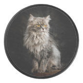 Palet De Hockey Chat gris duveteux (Devant)