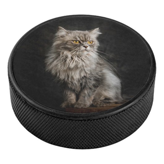 Palet De Hockey Chat gris duveteux (3/4/2016 12:00:00 AM)