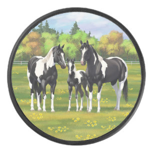 Palet De Hockey Chevaux De Peinture De Pinto Noir En Pâturage Été