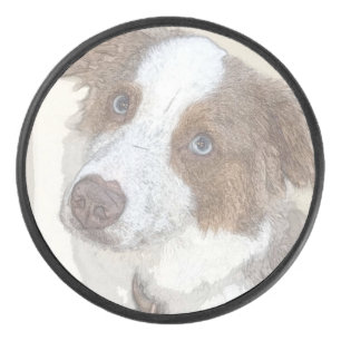 Palet De Hockey Chien, Repos, Animal de compagnie