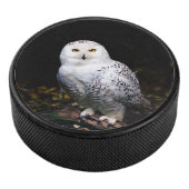 Palet De Hockey Chouette hivernale majestueuse (3/4/2016 12:00:00 AM)