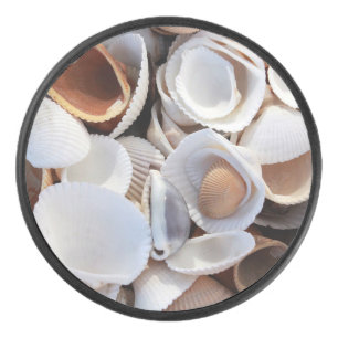 Palet De Hockey Coquille, Coquillages, Coquillage