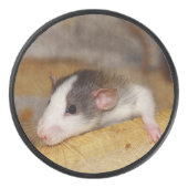 Palet De Hockey Cute rat (Devant)