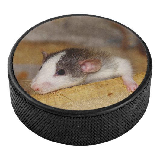 Palet De Hockey Cute rat (3/4/2016 12:00:00 AM)