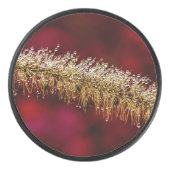 Palet De Hockey Dew du matin (Devant)