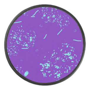 Palet De Hockey Doodles bleu clair violet