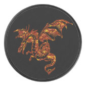 Palet De Hockey Dragon flamboyant (Devant)