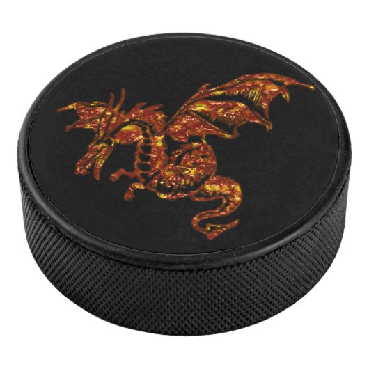 Palet De Hockey Dragon flamboyant (3/4/2016 12:00:00 AM)