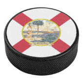 Palet De Hockey Drapeau de Floride : L'état de soleil des Floridie (3/4/2016 12:00:00 AM)