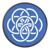 Palet De Hockey Drapeau international de la planète Terre (Devant)