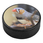 Palet De Hockey Finch (3/4/2016 12:00:00 AM)