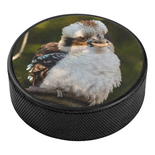 Palet De Hockey Fluffed up riant kookaburra (3/4/2016 12:00:00 AM)