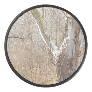 Palet De Hockey forêt hivernale