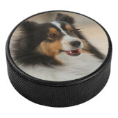 Palet De Hockey Happy Shelty (3/4/2016 12:00:00 AM)