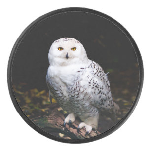 Palet De Hockey Hibou des neiges majestueux d'hiver