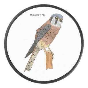 Palet De Hockey Illustration d'oiseau américain Kestrel