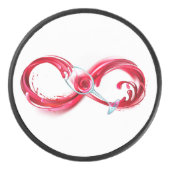 Palet De Hockey Infinity (Devant)