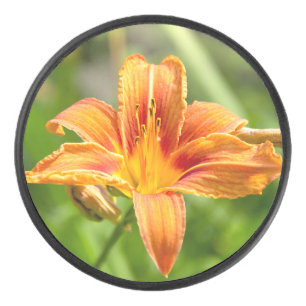 Palet De Hockey Jolie grande fleur Lily photo