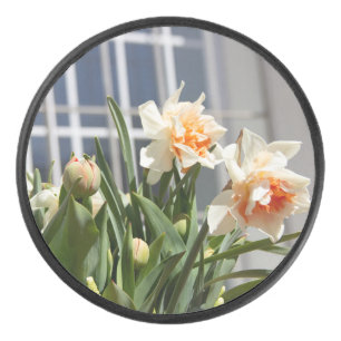 Palet De Hockey Jolies jonquilles délicates printemps