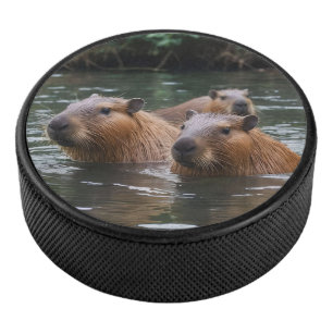 Palet De Hockey La Nage Des Capybaras Dans La Rivière,